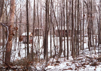 winter scene with buildings