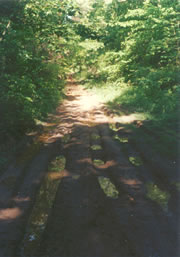photo of muddy road