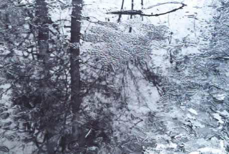 photo 4 of Sock's Frog Pond