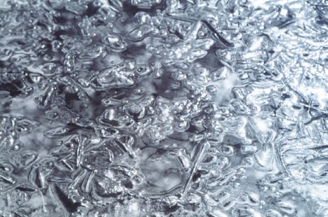 photo 6 of Sock's Frog Pond